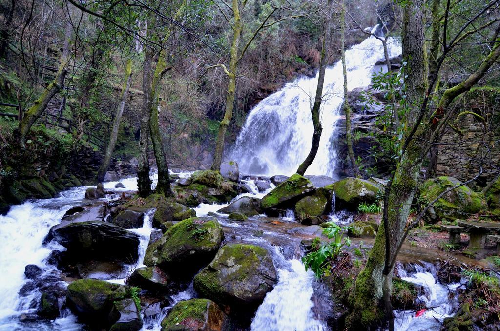 Villa De Paco Sever do Vouga Bagian luar foto