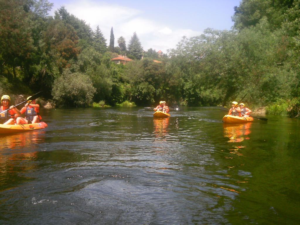 Villa De Paco Sever do Vouga Bagian luar foto