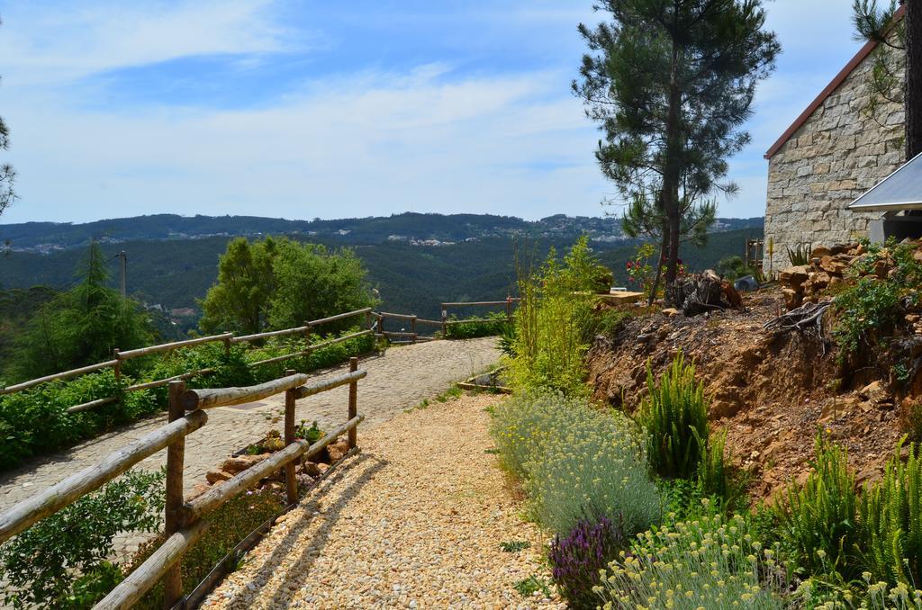 Villa De Paco Sever do Vouga Bagian luar foto