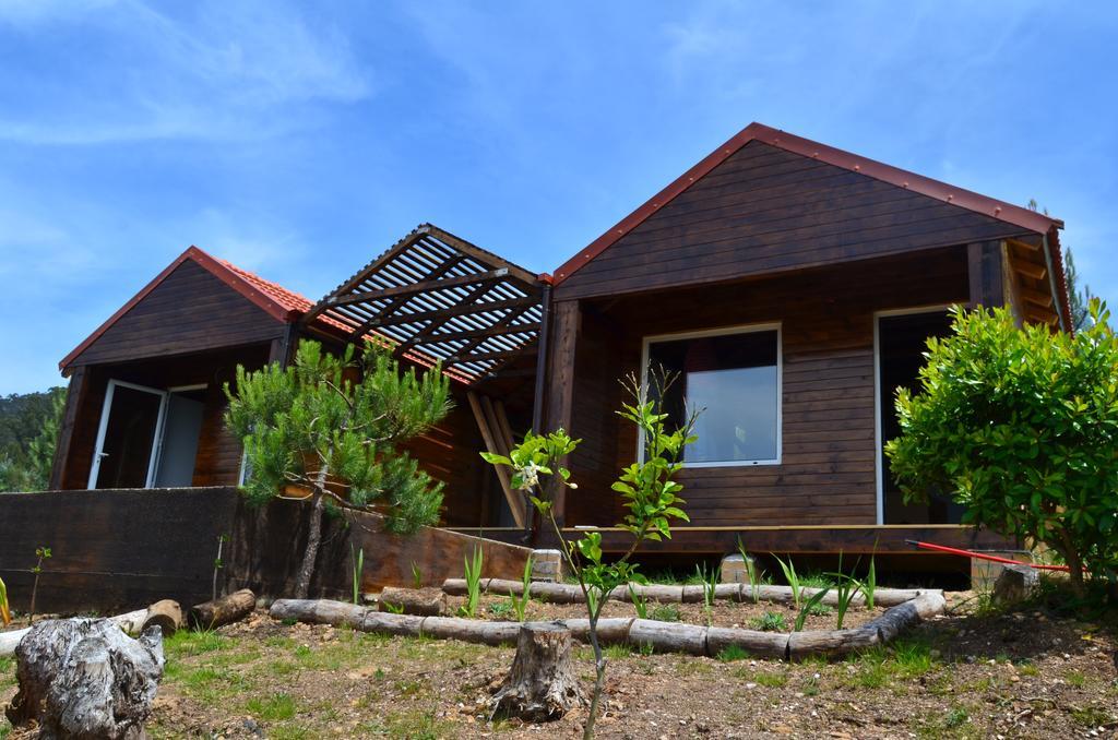 Villa De Paco Sever do Vouga Bagian luar foto