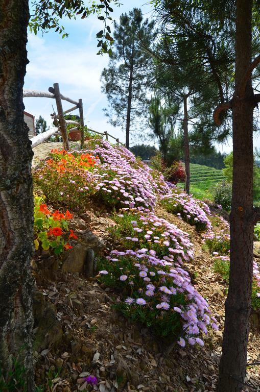 Villa De Paco Sever do Vouga Bagian luar foto