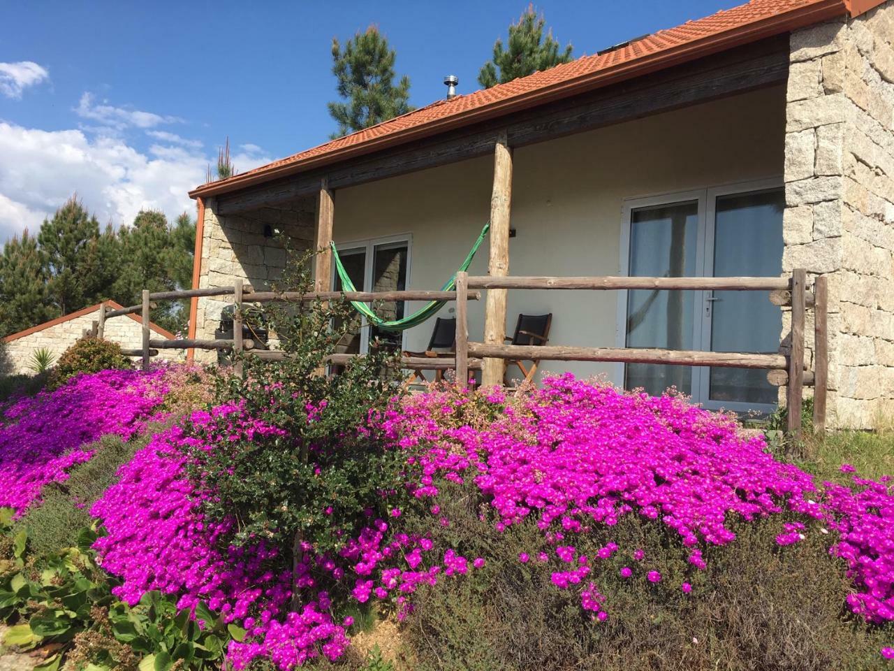 Villa De Paco Sever do Vouga Bagian luar foto