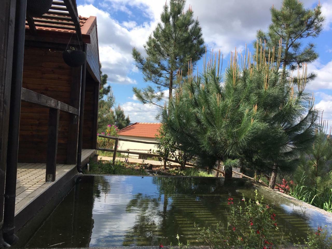 Villa De Paco Sever do Vouga Bagian luar foto